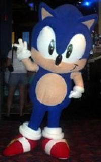 GameWorks arcade Sonic Costume